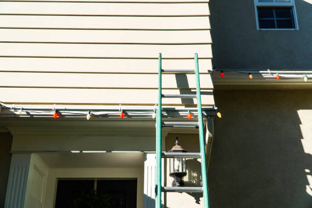 Best Residential Vinyl Siding Installation  in Montegut, LA