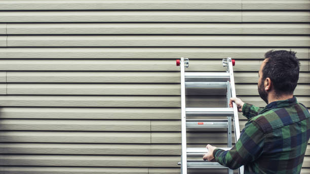 Best Siding Removal and Disposal  in Montegut, LA