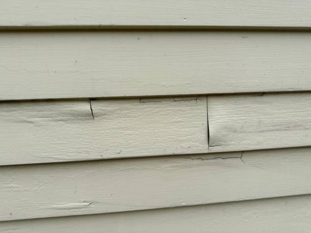 Best Siding Painting and Refinishing  in Montegut, LA